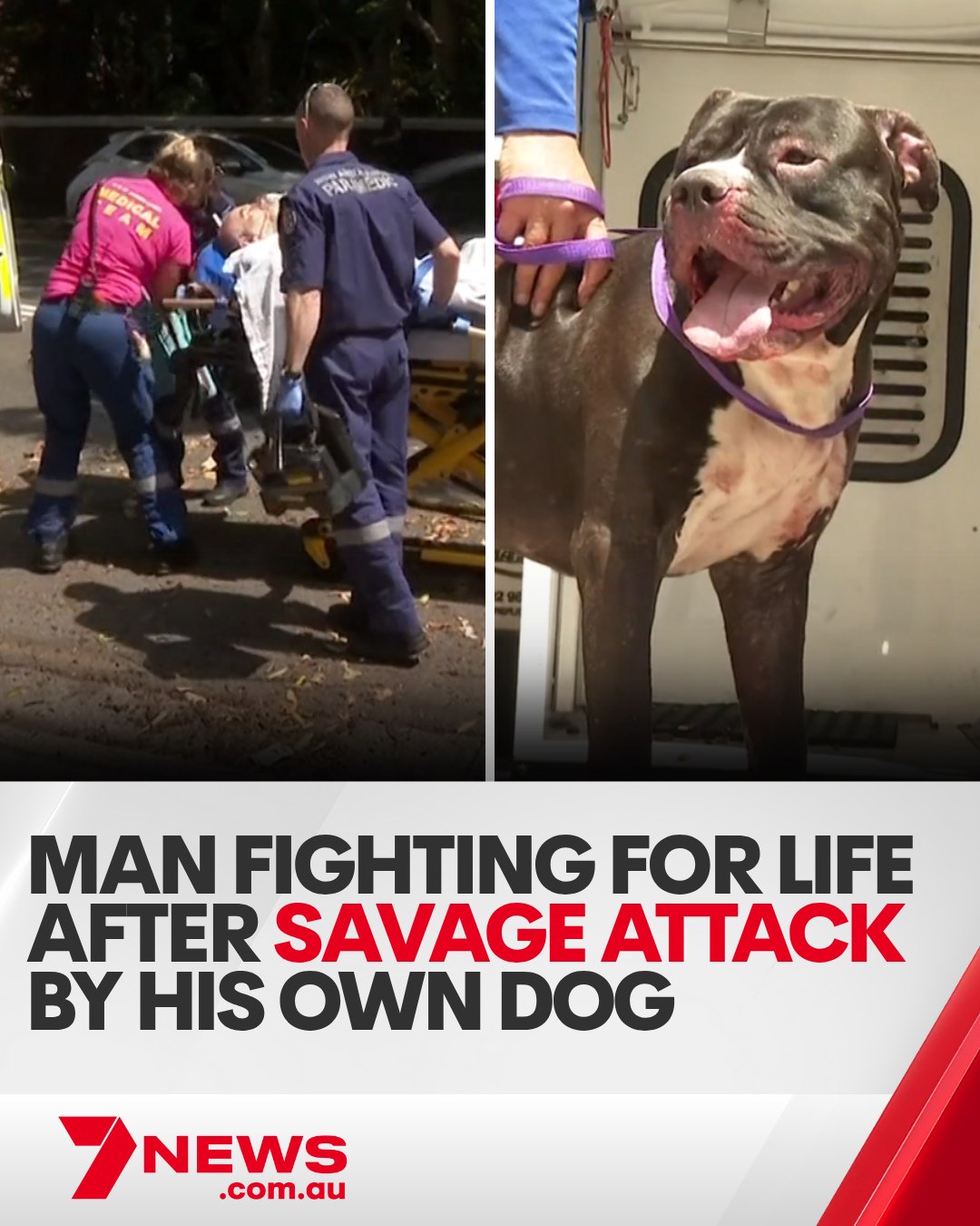 7NEWS Australia - Police needed riot shields to subdue the... | Facebook