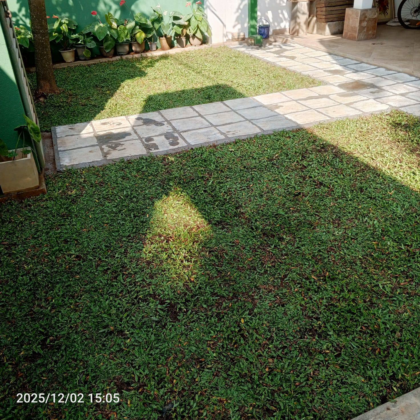 The Garden Shop... - The Garden Shop Miriswatta / Piliyandala
