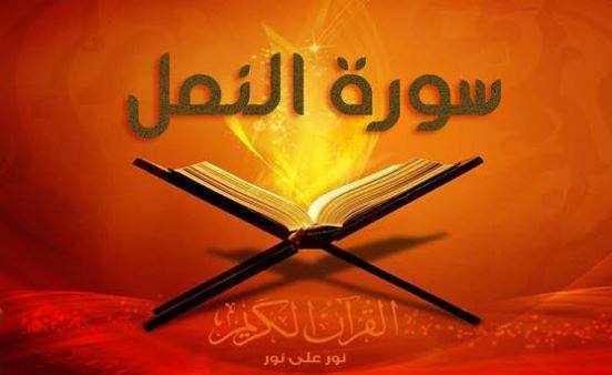 تفسير ايآت القرآن كل يوم آية سورة النمل 22 25 فمكث غير بعيد فقال أحطت بما لم تحط به وجئتك من سبإ بنبإ يقين 22 فمكث بضم الكاف وفتحها غير بعيد يسيرا