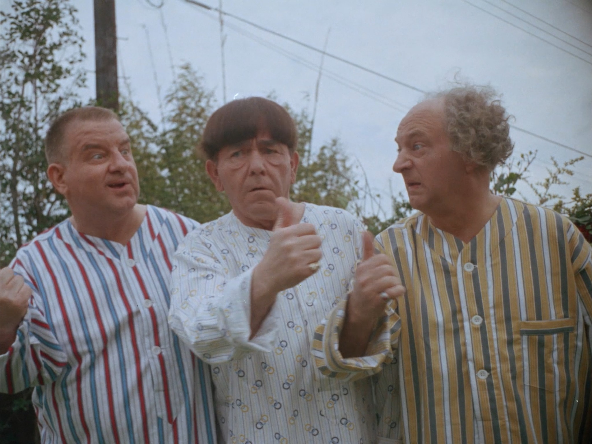 Curly - Would you pick up these three hitchhikers? | Facebook