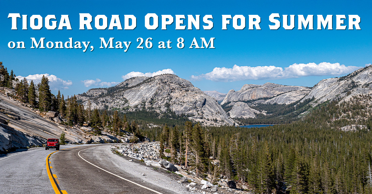 Yosemite - The National Park Service has announced that Tioga Road ...