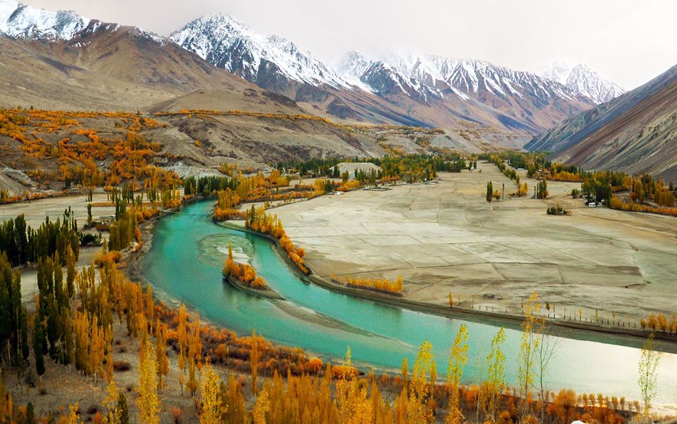 Tag Pakistan - ڈاکٹر علی حسین ، دیزگ ، یارخوں ، اپر چترال ڈاکٹر علی ...