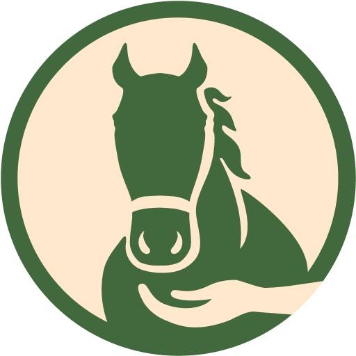 ‼️RESCUE UPDATE: Nearly... - South Florida SPCA Horse Rescue | Facebook