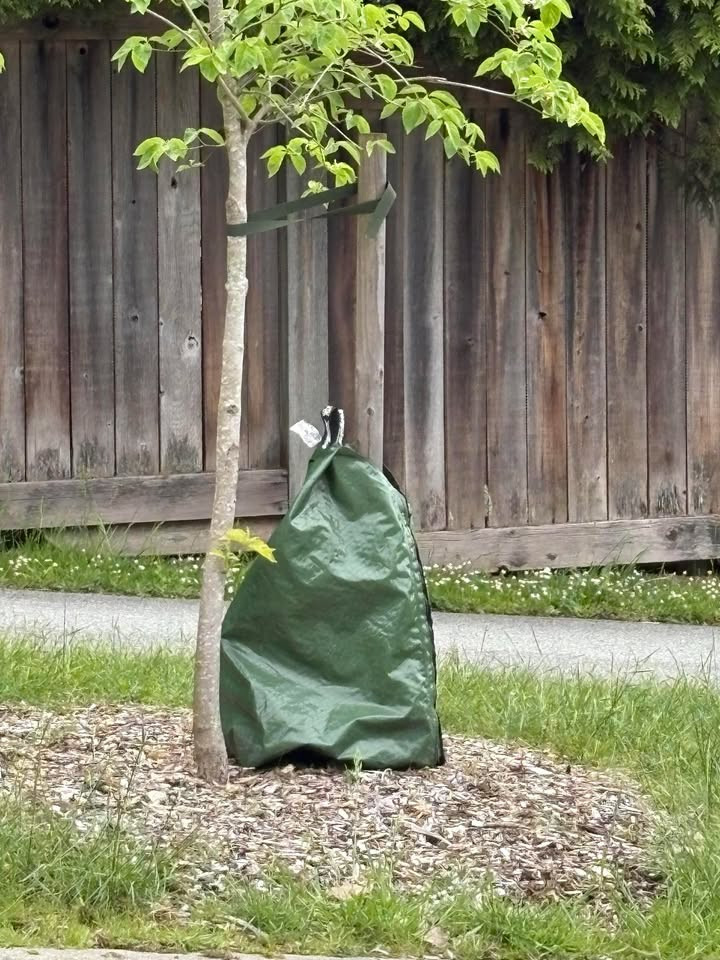 arbor rain watering bag Slow Release | PlantingTree ArborRain Towers provide essential hydration for young trees 20 Gal. PE Tree Watering