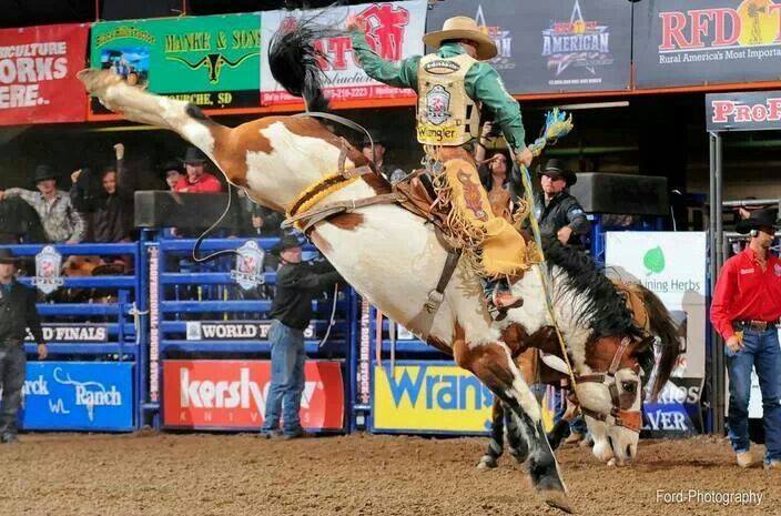 Burch Rodeo Bucking Horse Futurity and Sale