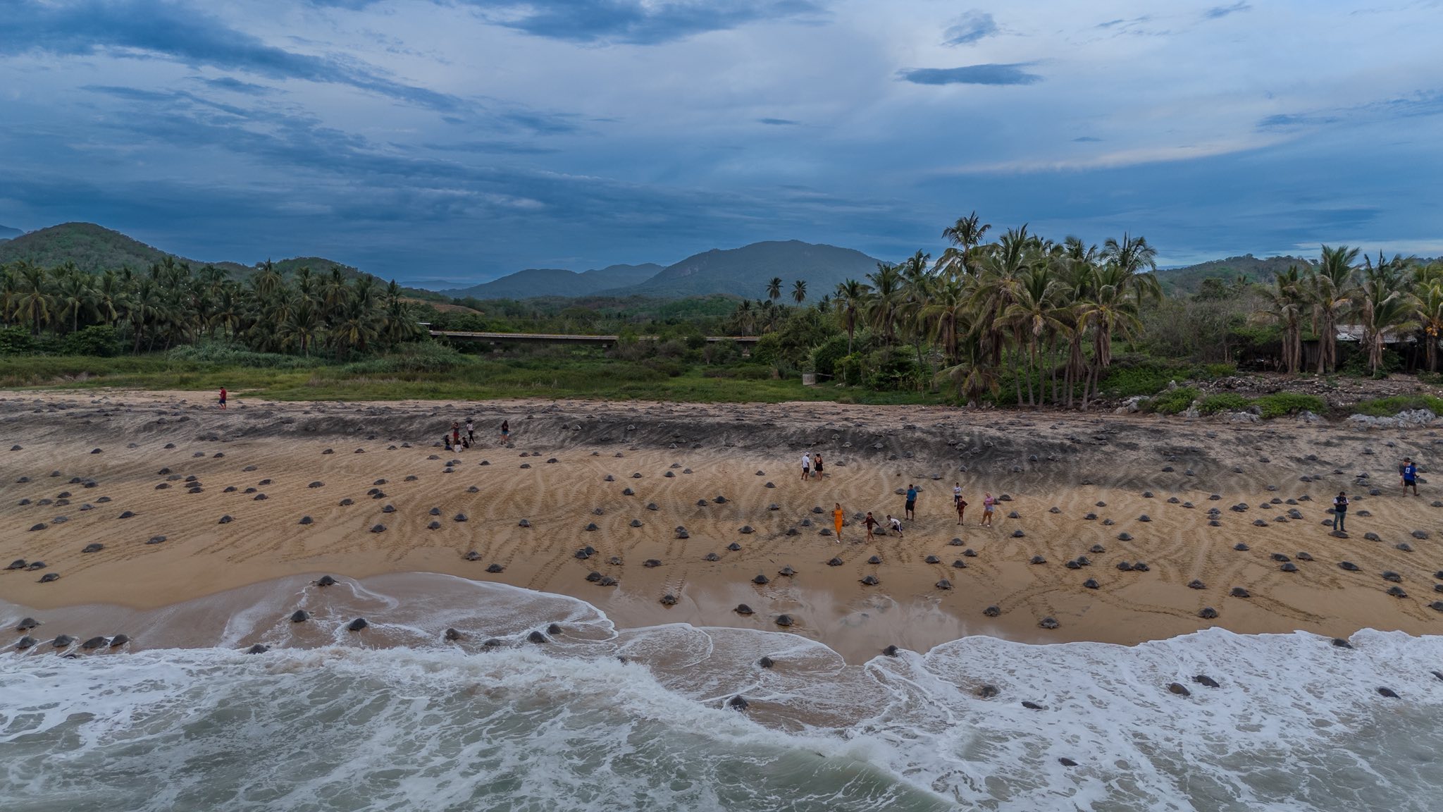 Michoacán - 🌊🐢 Colola, en las #PlayasDeMichoacán, es un... | Facebook