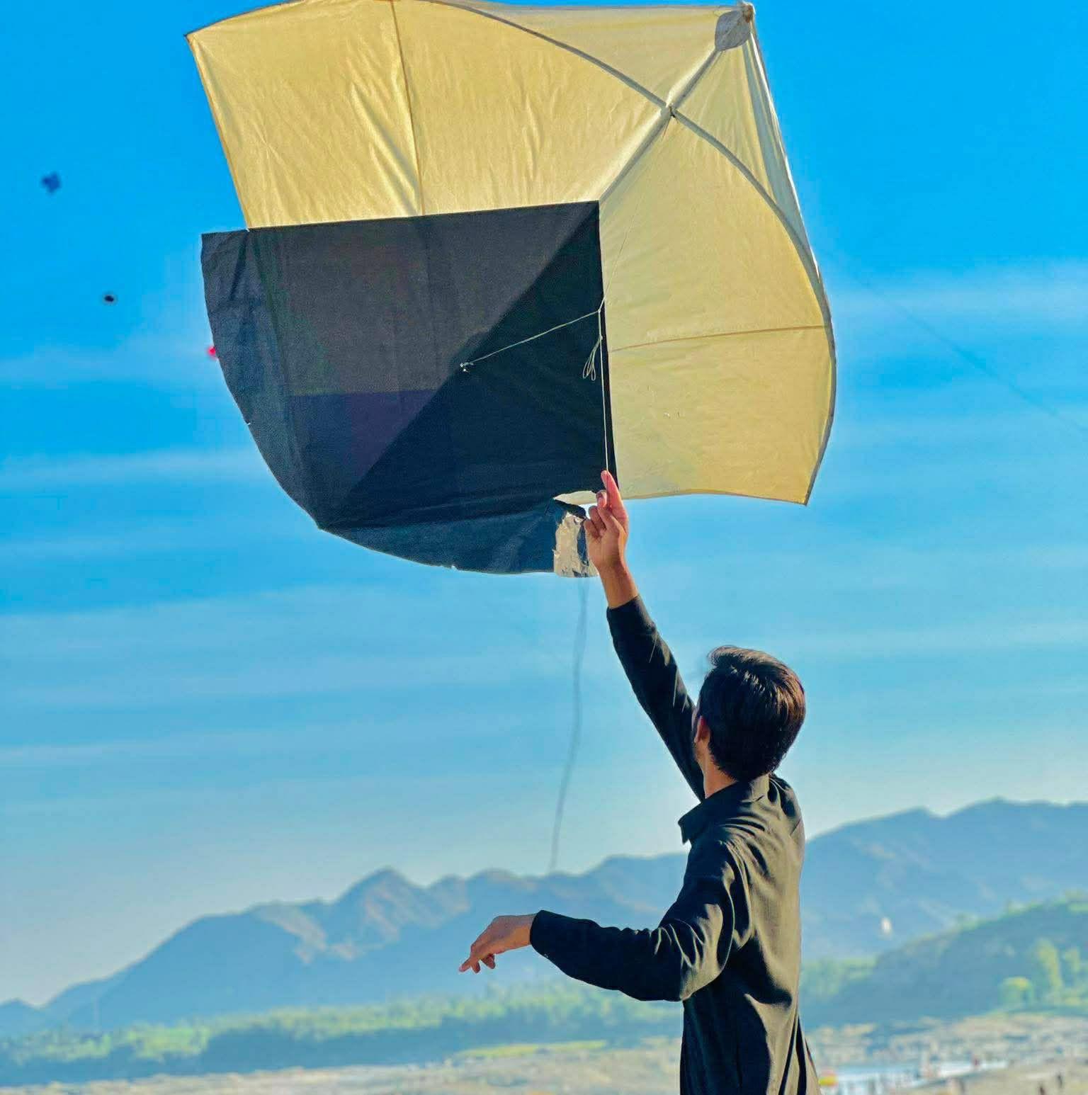 PANDA 5 - Basant Festival 2027 | Facebook