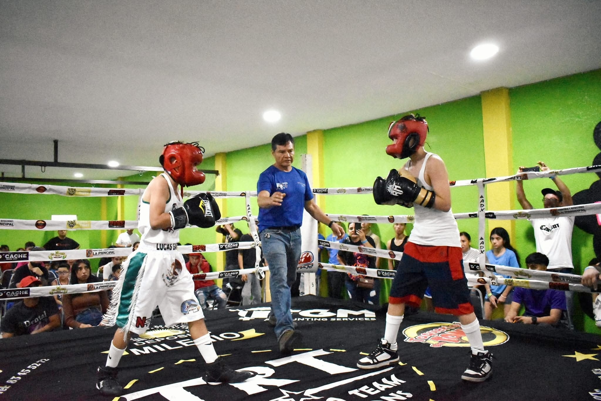 The Boxing Factory Las... - The Boxing Factory Las Torres