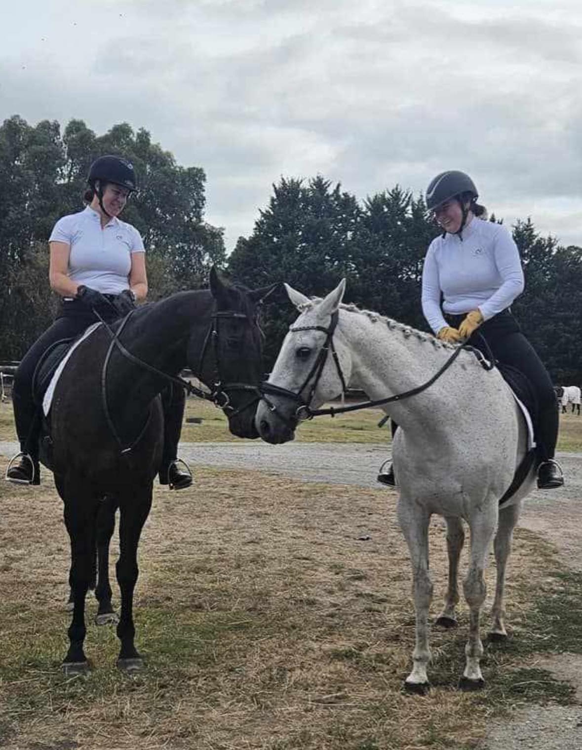 Oakwood Riding School added a new... - Oakwood Riding School