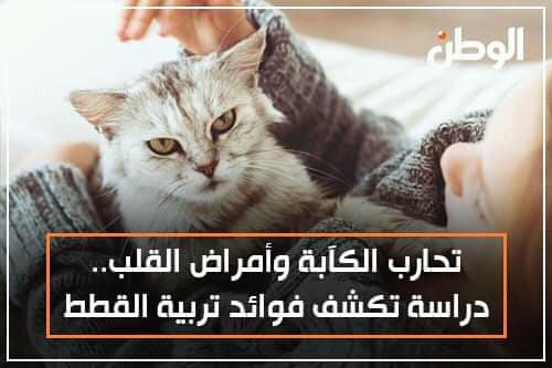 My Cat ツ دراسة تكشف فوائد تربية القطط Facebook