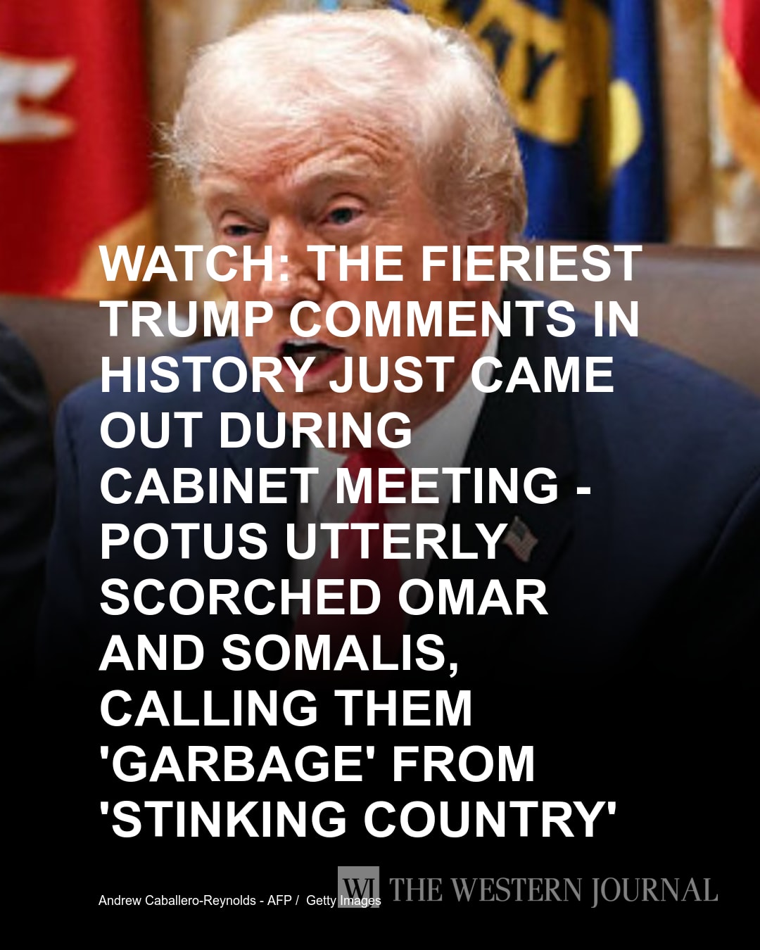 Conservative - The left likes to portray Trump as some sort of despotic ...
