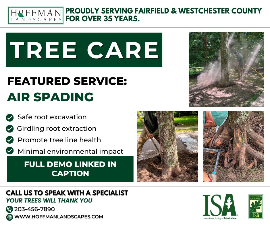 Hoffman - 🌳 Are your trees struggling to thrive? One common issue could ...