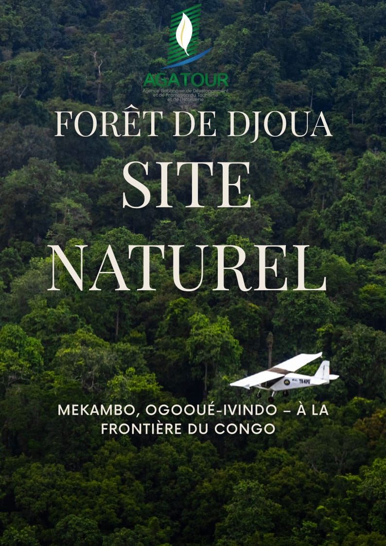 AGATOUR - 🌿 FORÊT DE DJOUA Une immersion au cœur de la nature vierge du ...