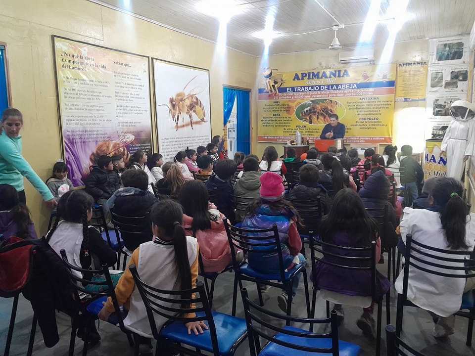 Apimania Abejas Y Miel