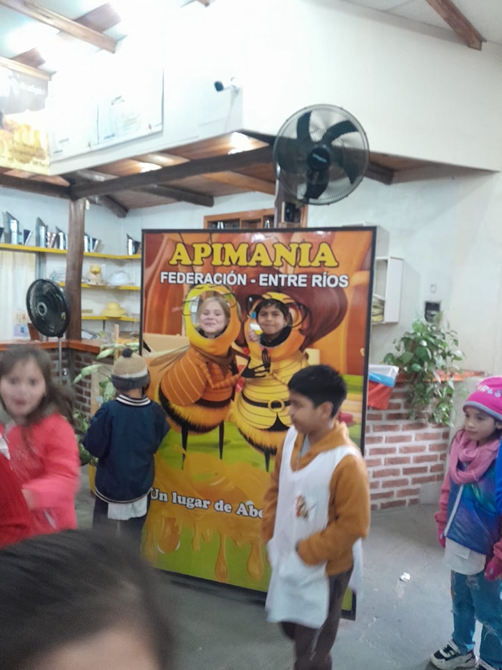 Apimania Abejas Y Miel