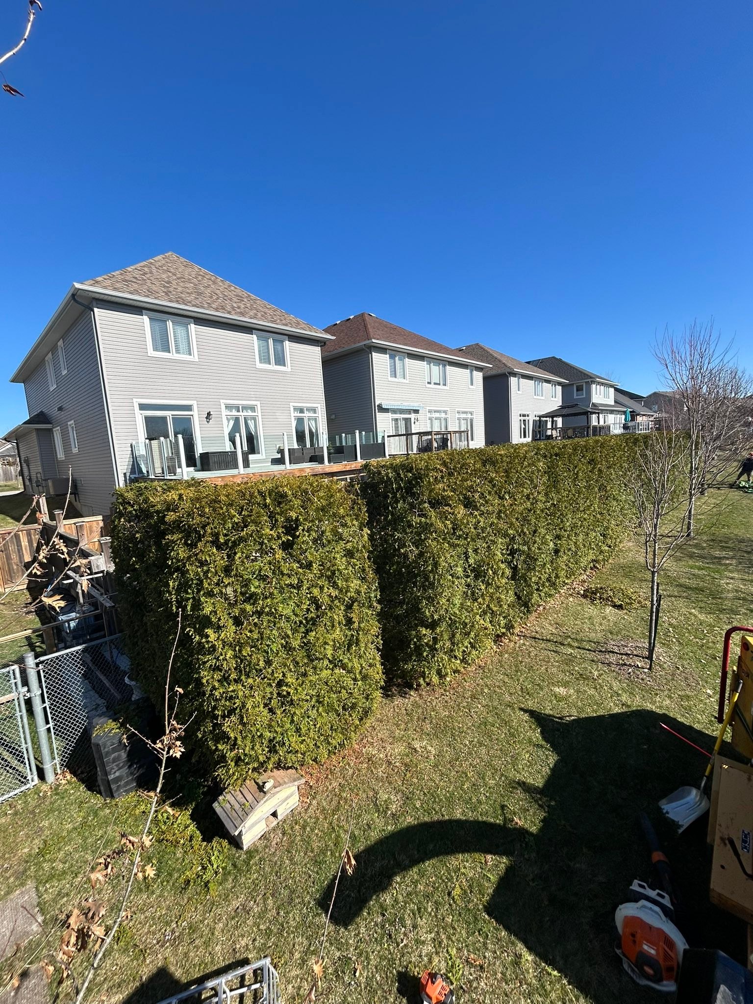 Madden & Company Tree Service | Westport ON