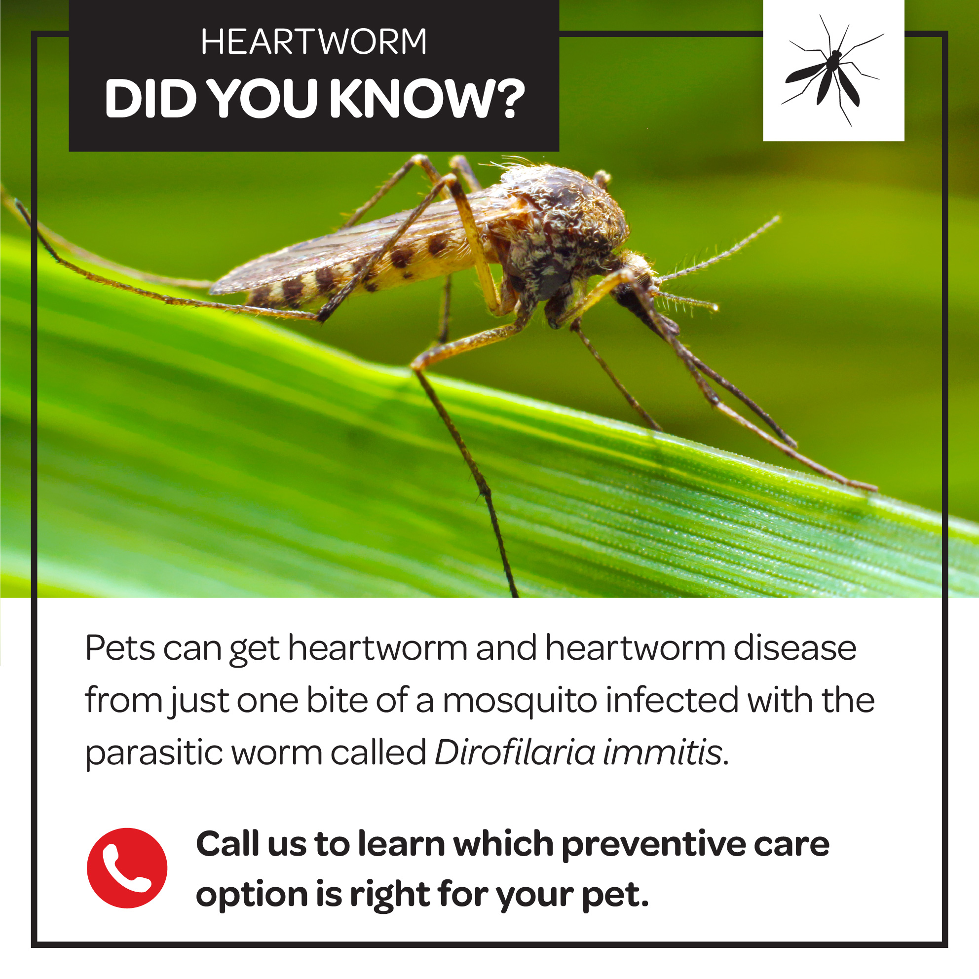 Fairmont - #ParasitePrevention It just takes ONE bite from an infected ...