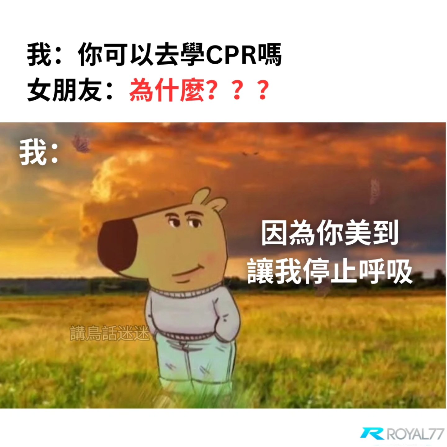 讲鸟话迷迷 - 跟你待在一起，我很危險 . IG: birdtalkmeme . . #梗 #梗圖 #梗图 #梗圖系列 #梗图系列 #梗圖大全 ...