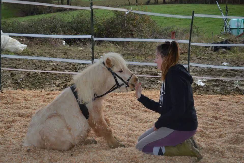 Le Saviez Vous : Version cheval