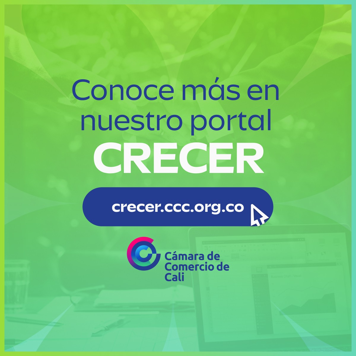 Cámara de Comercio de Cali | Santiago de Cali
