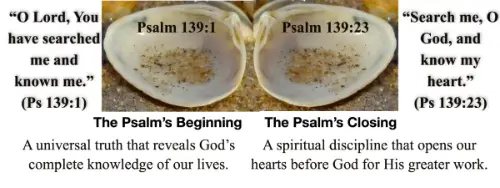 Biblical Foundations for Freedom (BFF)