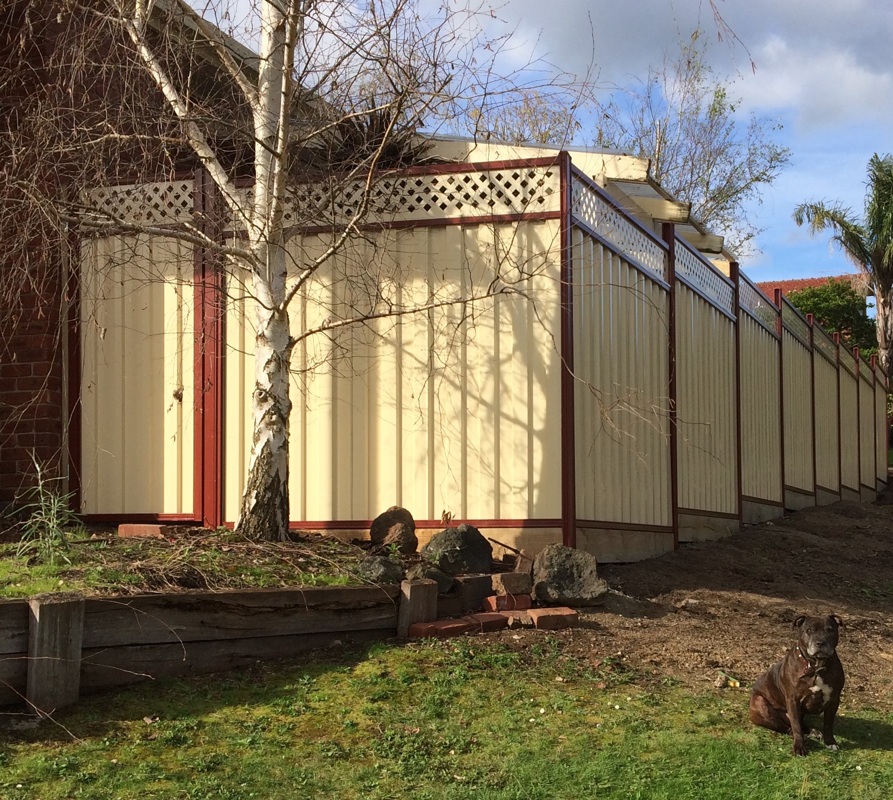 BSD Projects | Cairns QLD