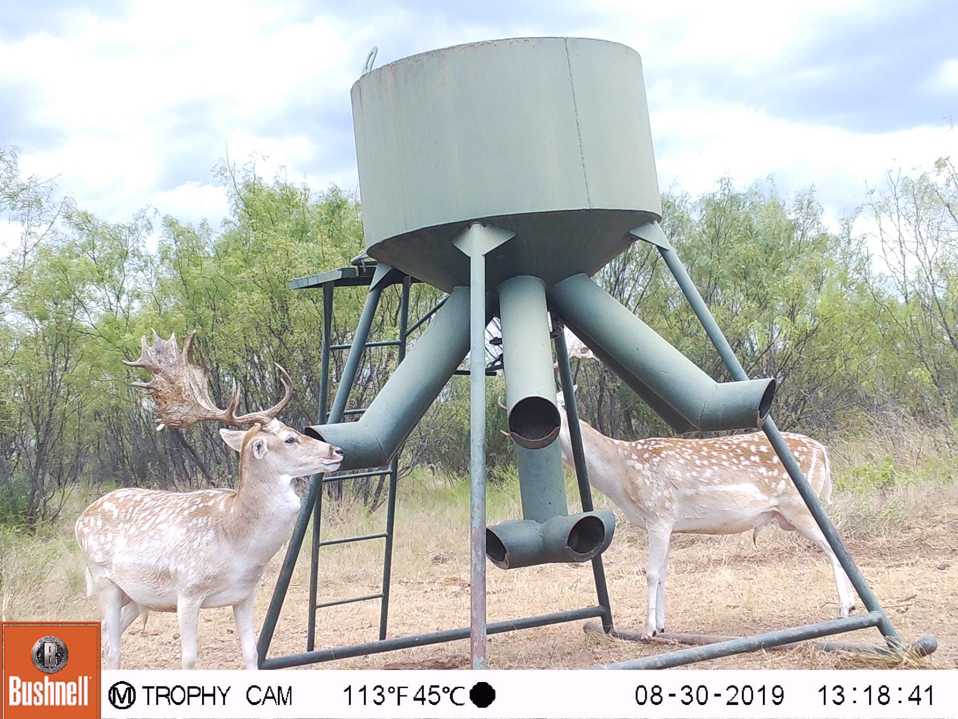 S4 Hunting Ranch added photos to the... - S4 Hunting Ranch | Facebook