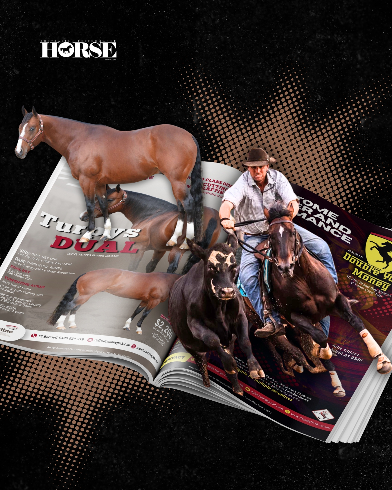 Australian - Day 10 of Building Australia's Best Equine Events Calendar ...