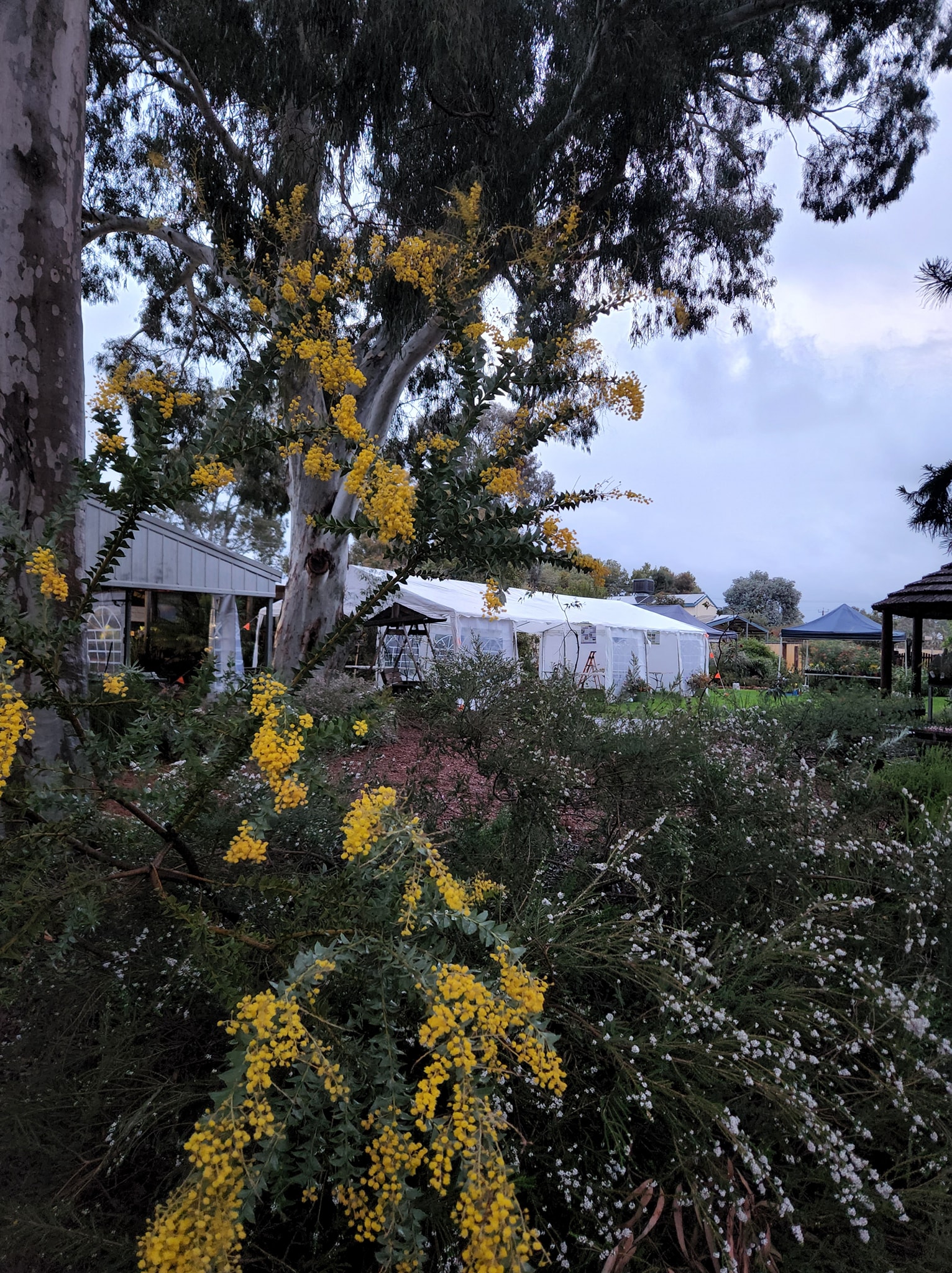 Muchea Tree Farm | Perth WA