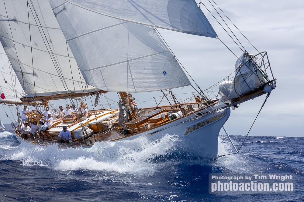 Sail4th 250 had two historic “Ambassador Yachts” join the fleet! L