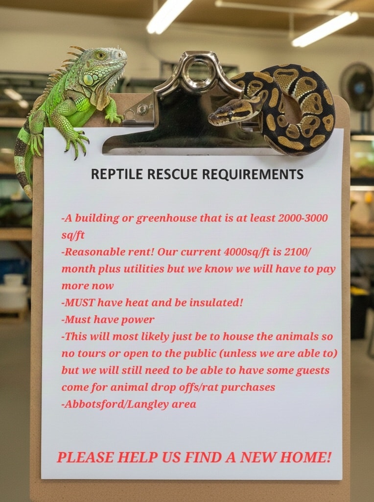 The Den Reptile Rescue