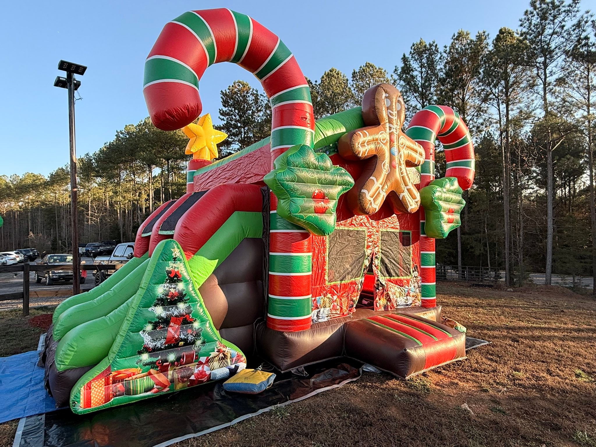 Moss Family Christmas Tree Farm | Adairsville GA