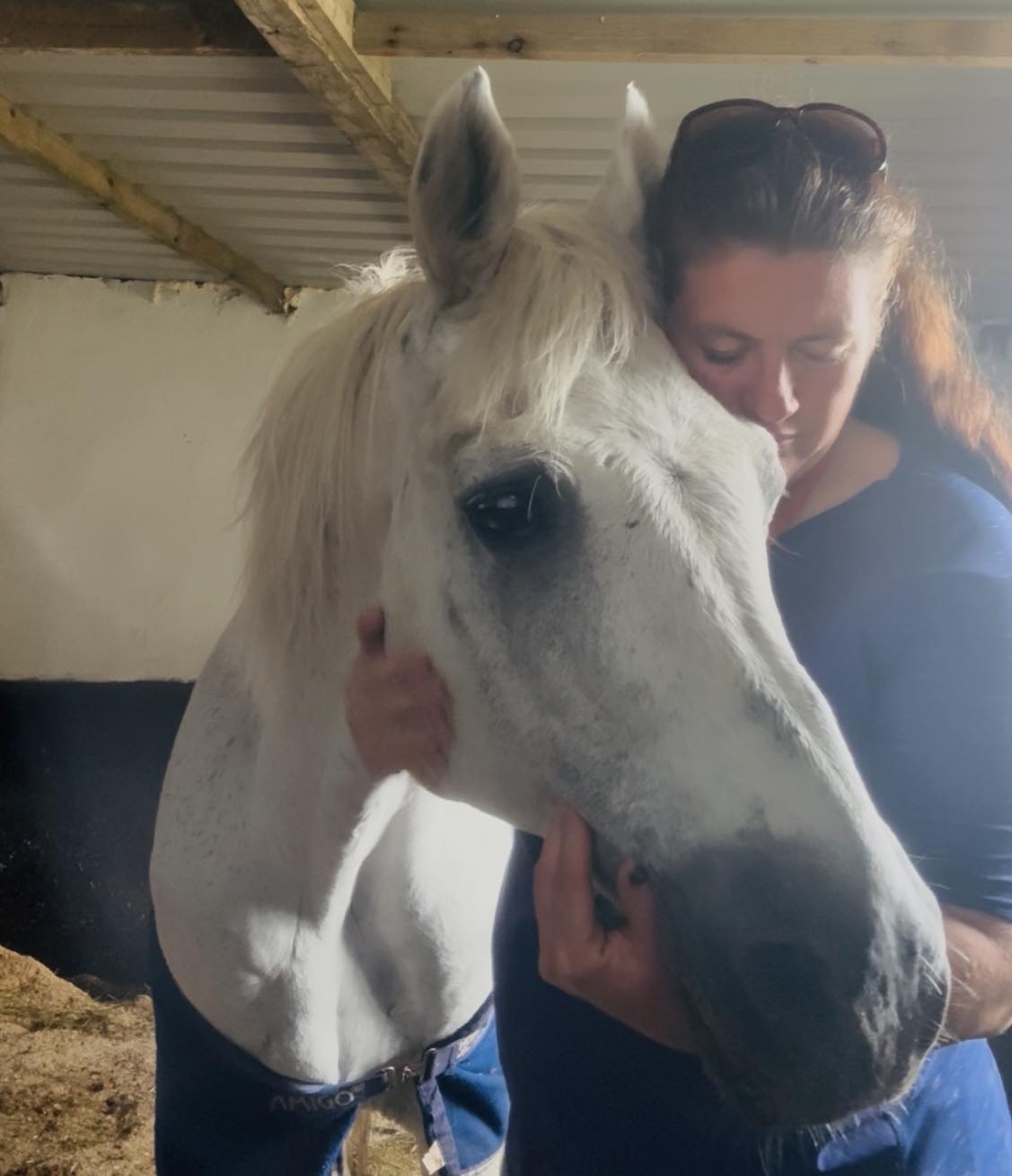 Diamond's Equine Renvyle - The Connemara Pony National Stud added a new ...