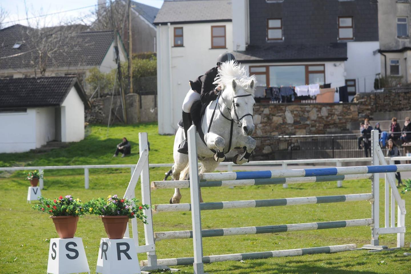 Diamond's Equine Renvyle - The Connemara Pony National Stud | Galway