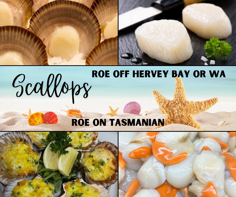 Stoney - Australian scallops are a delicacy known for their tender ...