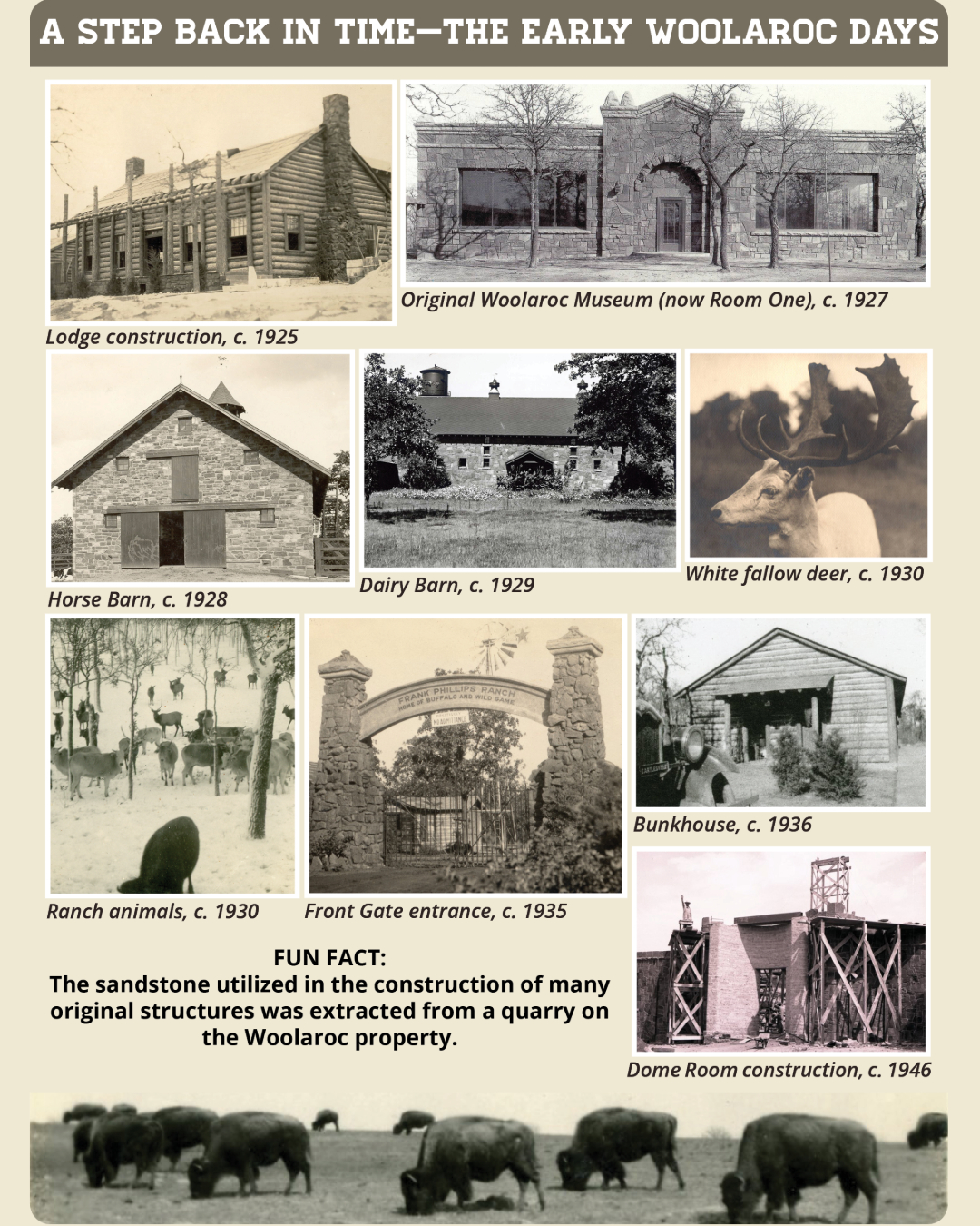Woolaroc Museum &... - Woolaroc Museum & Wildlife Preserve