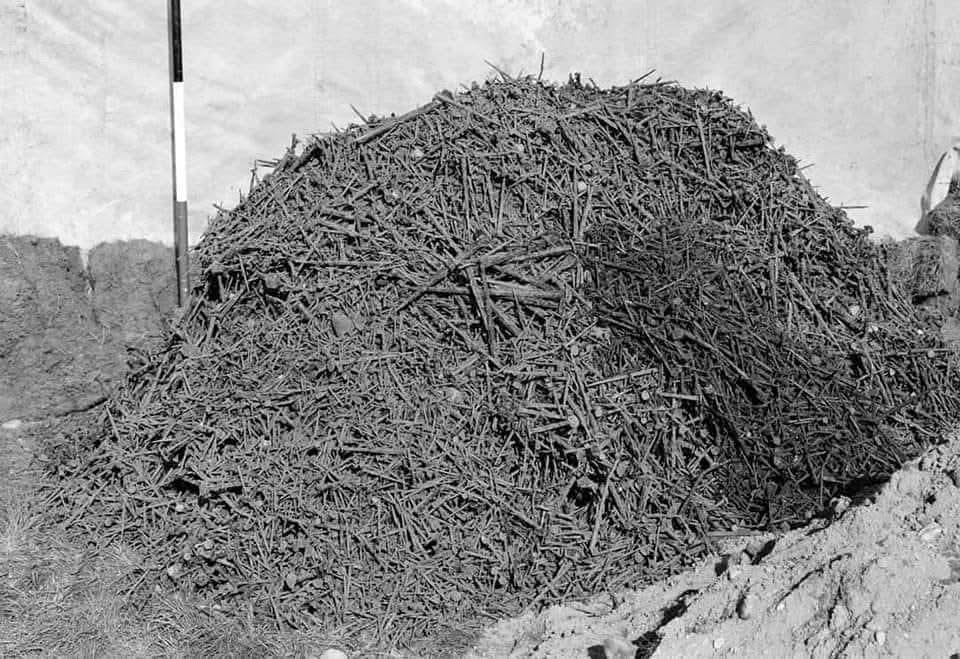 Museum - A hoard of Roman nails found at Inchtuthil, Perth and Kinross ...