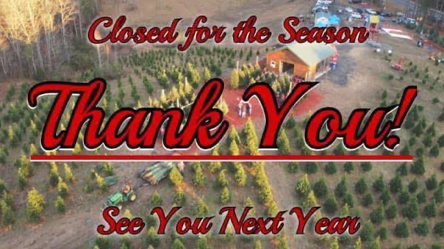 Moss Family Christmas Tree Farm | Adairsville GA