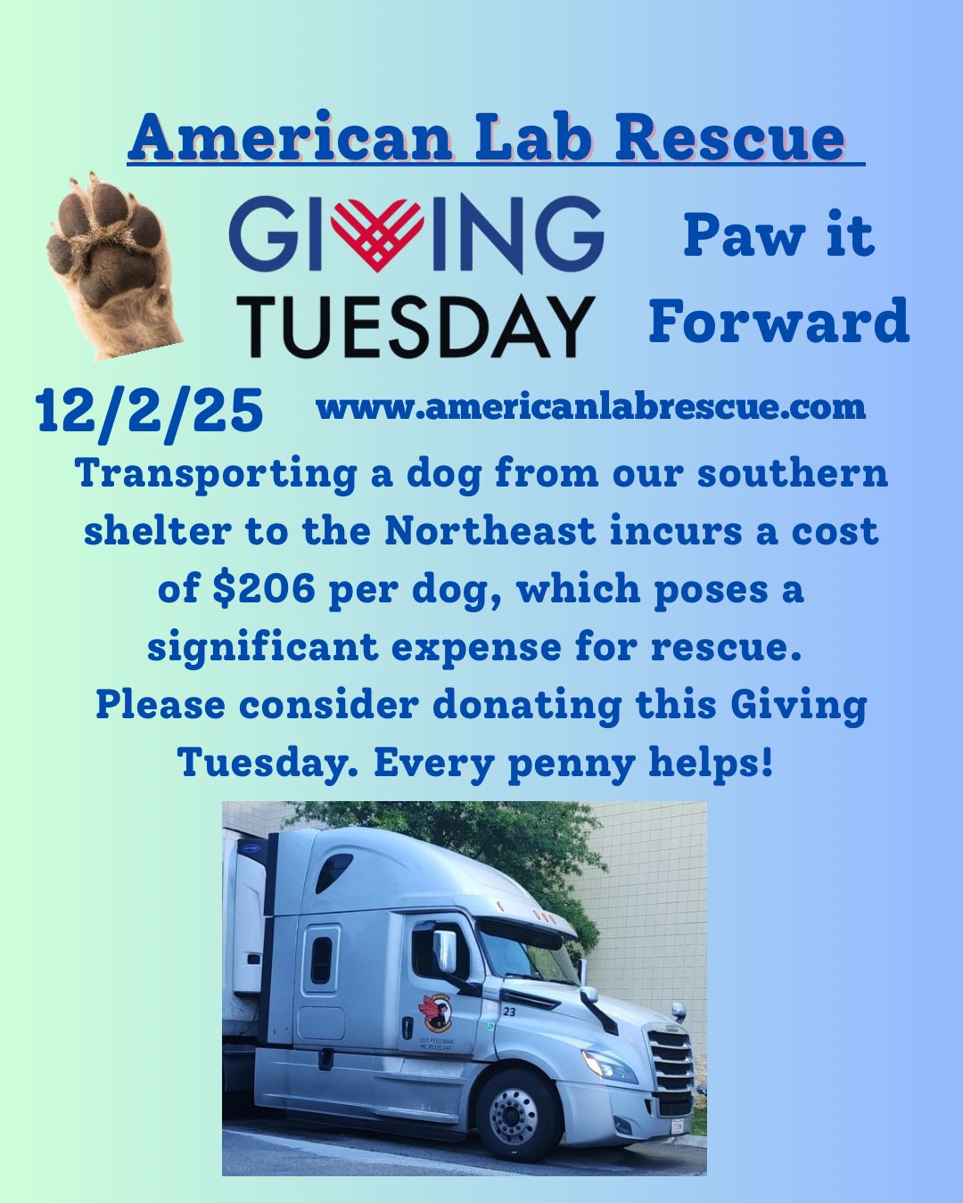 American - https://americanlabrescue.com/donate-2/ | Facebook