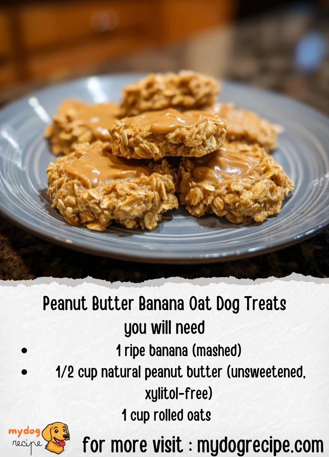 Photo inspiration: Gallery Detail: Homemade Dog Food Recipes Peanut Butter Banana Oat Dog Treats