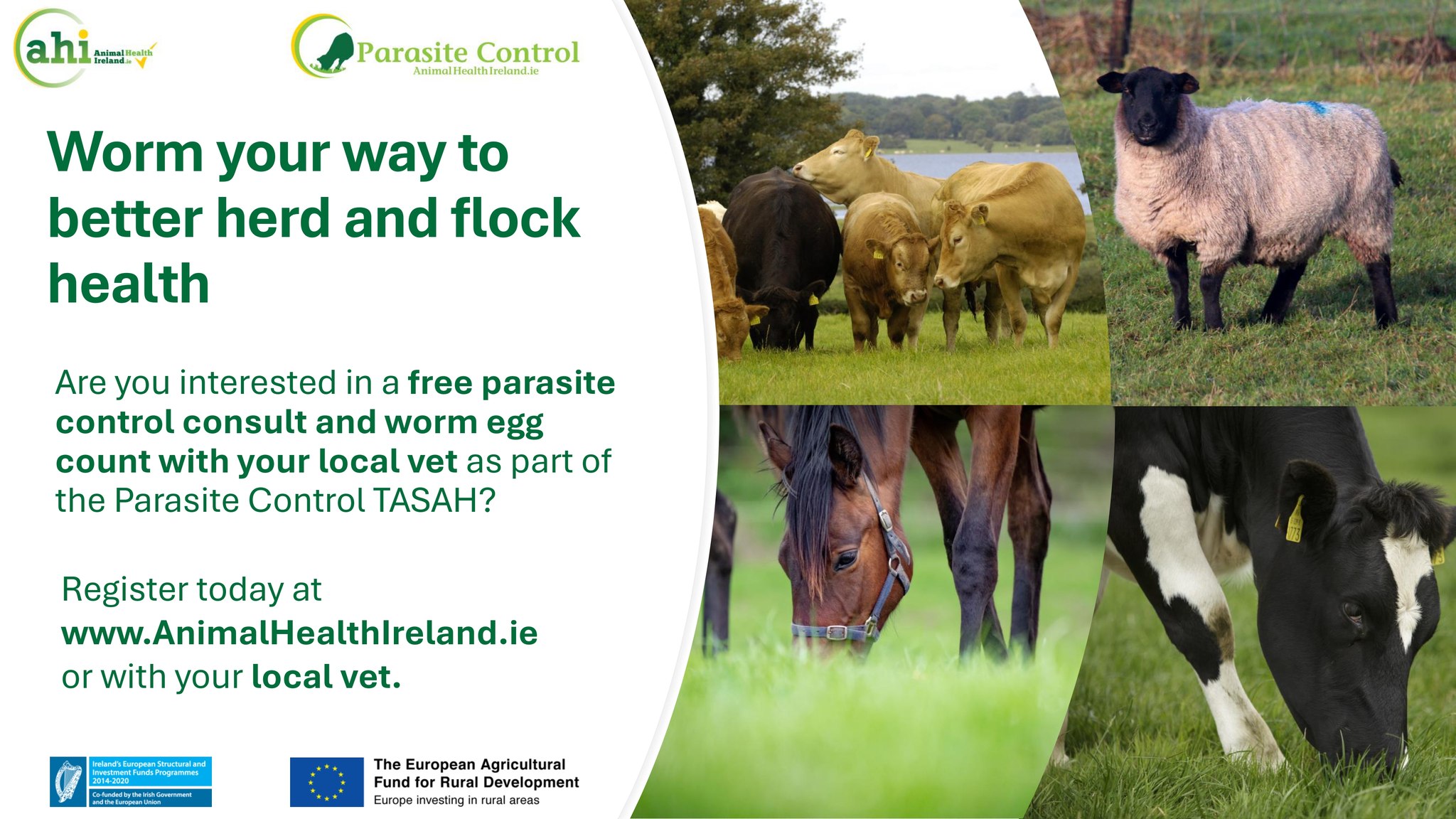Animal Health Ireland | Carrick on Shannon