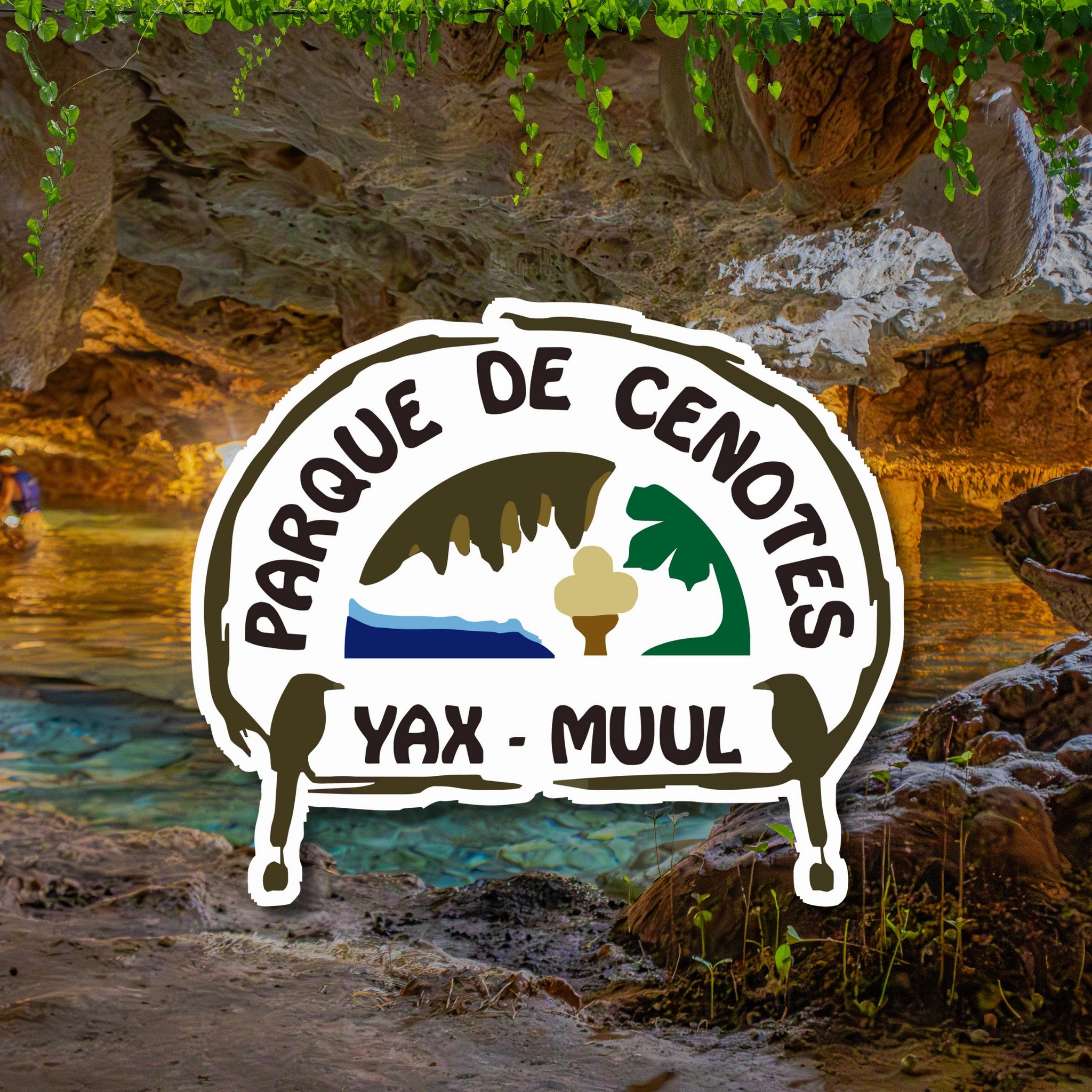 PARQUE DE CENOTES YAX-MUUL... - PARQUE DE CENOTES YAX-MUUL