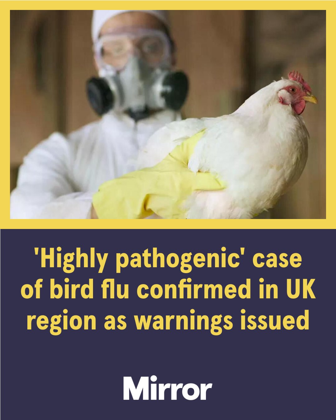 The Mirror - A "highly pathogenic" case of bird flu has been confirmed ...