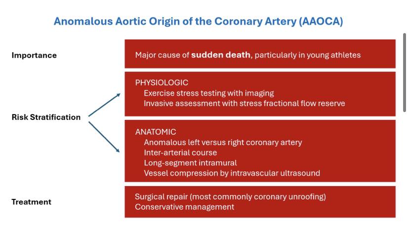 Cardiophilia - Anomalous Aortic Origin of the Coronary Arteries Quick ...