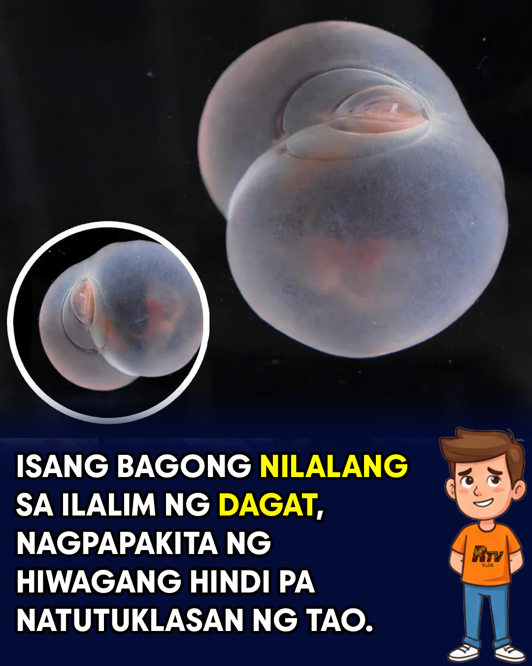 Rudz - Namangha ang mga siyentipiko sa kanilang natuklasan sa ilalim ng ...