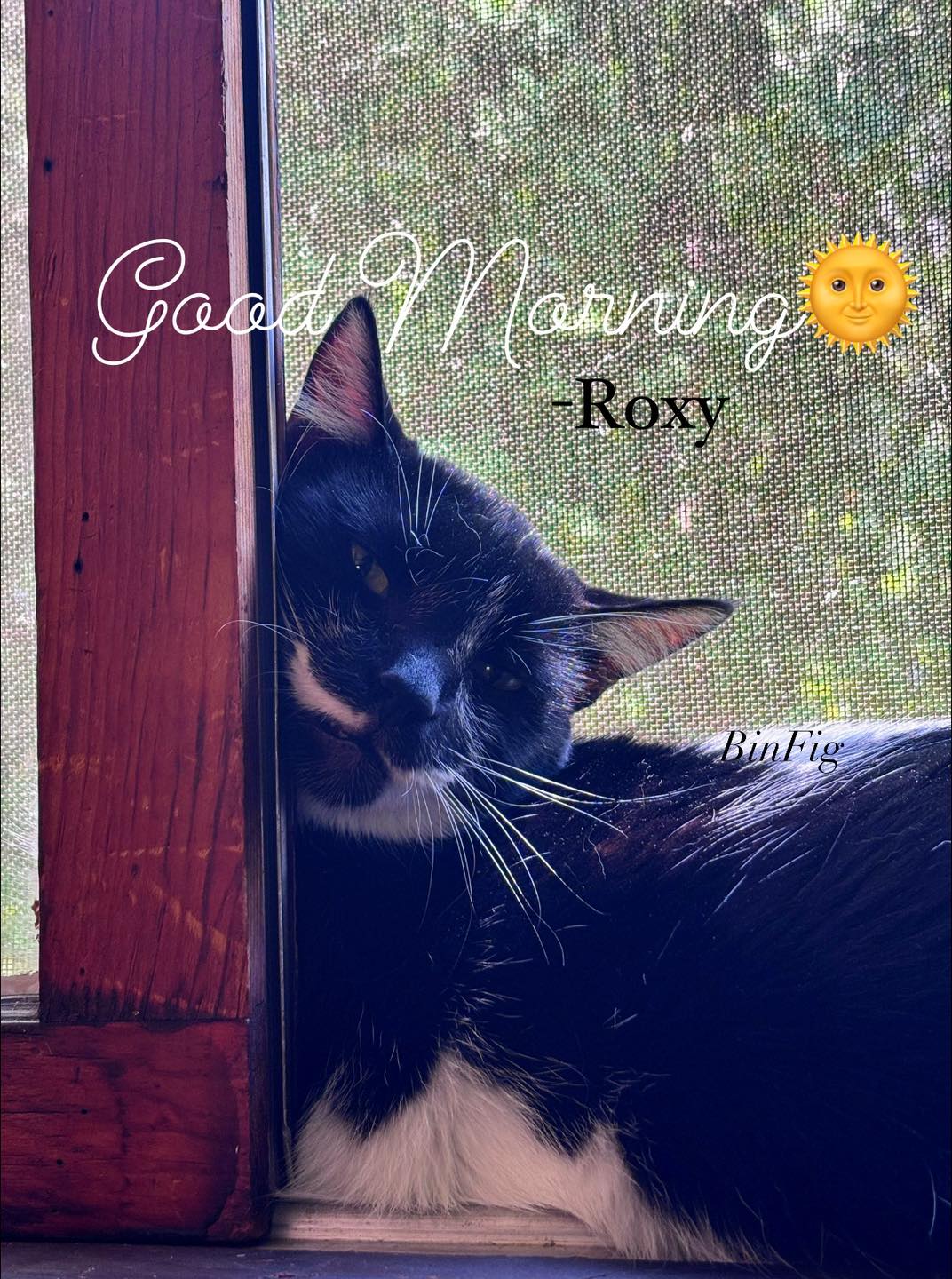 BinFig - “Good morning everyone!🌞🌸🌷Wishing you all a beautiful and ...
