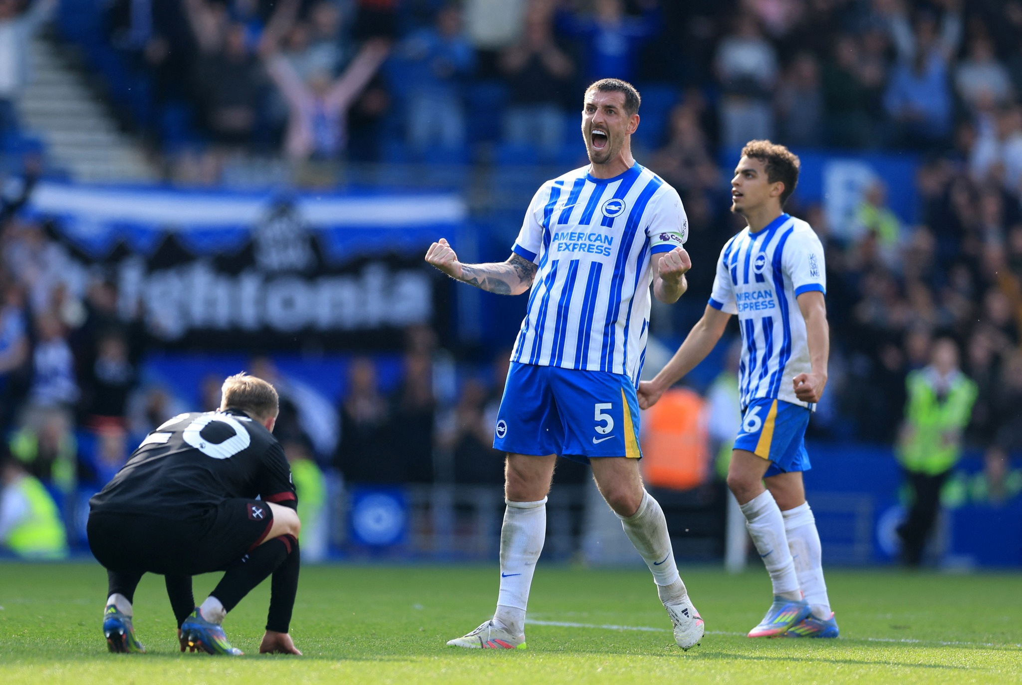 Brighton & Hove Albion