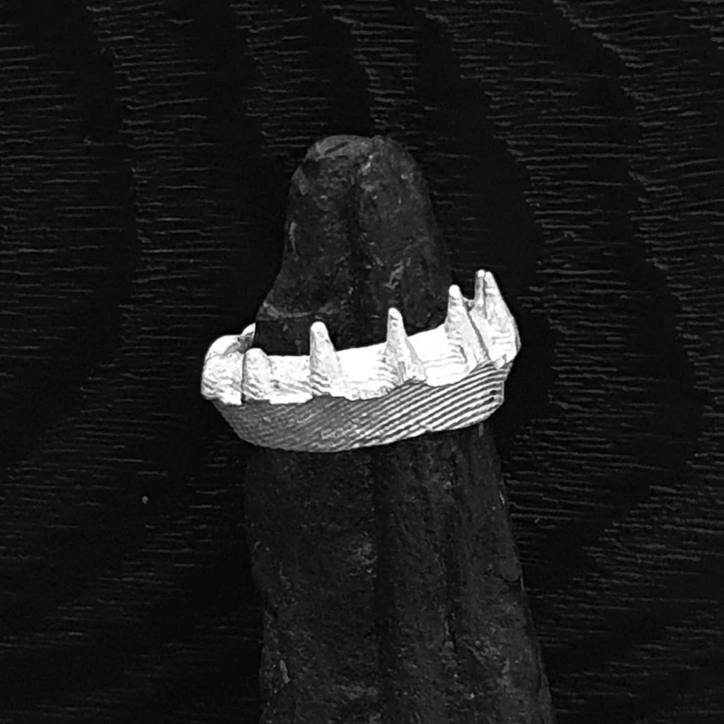 FALLOW - Cast using the bone of a cuttlefish ~ The unique process ...
