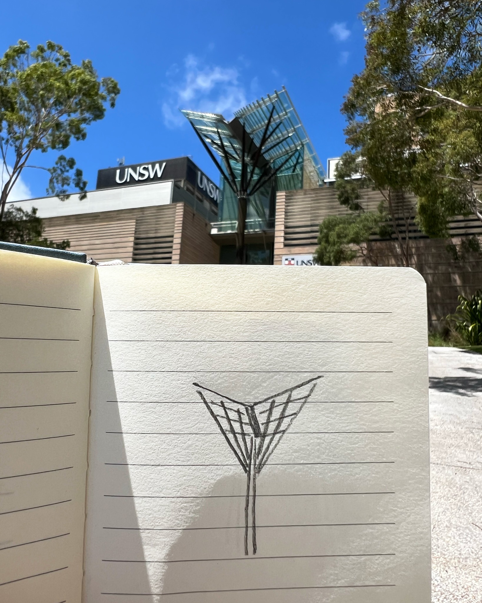 UNSW - Three UNSW students will compete at the 2026 Winter Olympics in ...