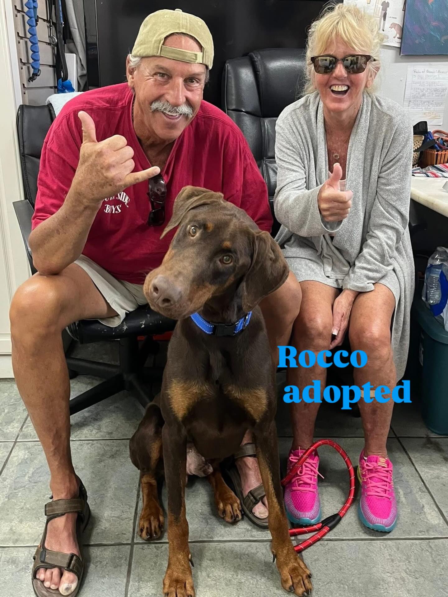 More good news!!! We are... - Doberman Rescue League, Inc. | Facebook